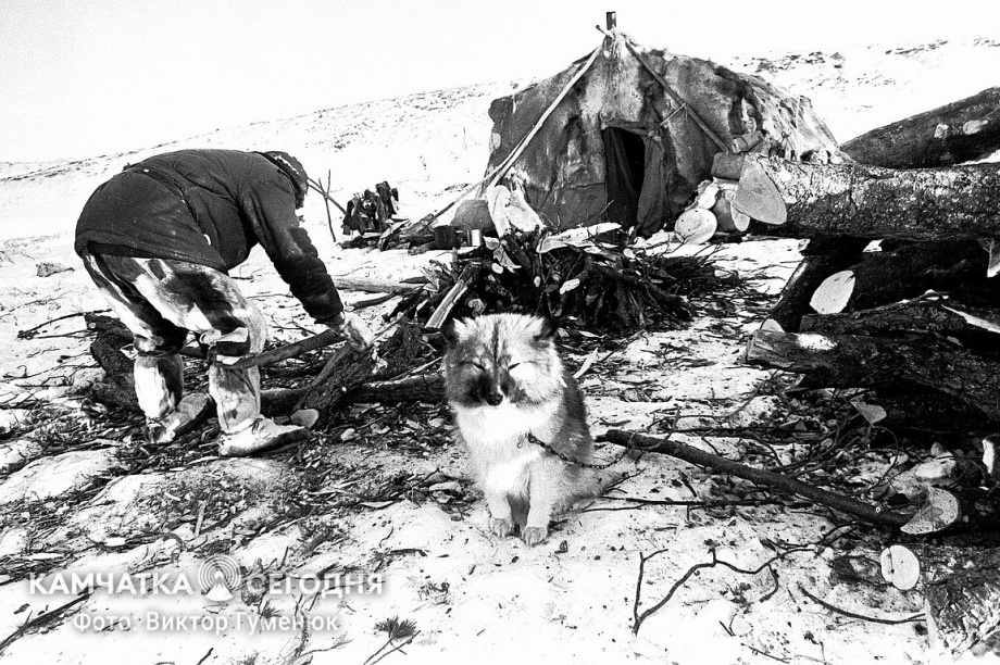 День образования Корякского округа на Камчатке. Фотоподборка. Фото: Виктор Гуменюк\ИА "Камчатка". Фотография 20