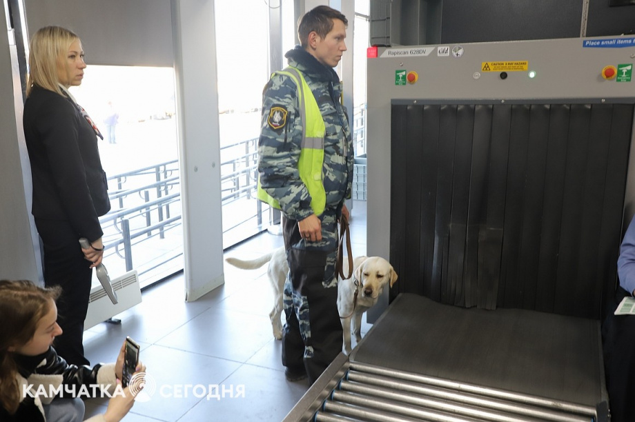 Эксперимент по ограничению провоза икры стартовал на Камчатке. Фоторепортаж. Фото: Виктор Гуменюк\ИА "Камчатка". Фотография 22