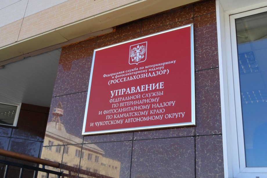 Сотрудник Россельхознадзора осужден за получение взятки . ИА «Камчатка» / Кирилл Маренин