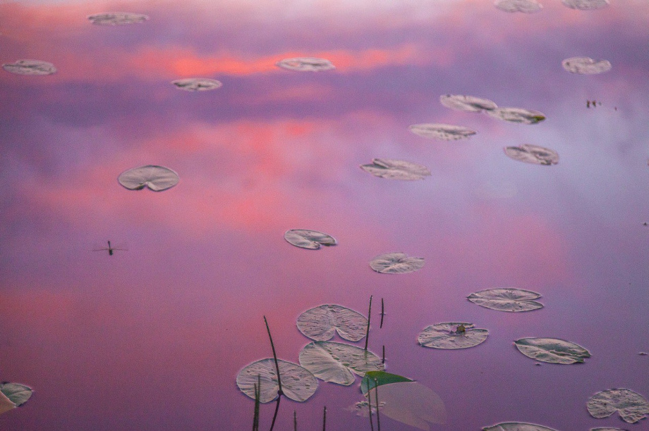 Жителей Камчатки приглашают на конкурс «Самая красивая страна». Фото: Русское географическое общество. Фотография 3