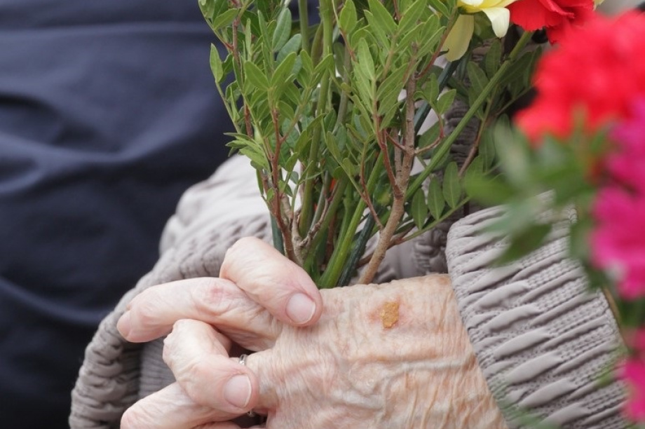 Памятные мероприятия в Парке Победы. Фото: Виктор Гуменюк. Фотография 26
