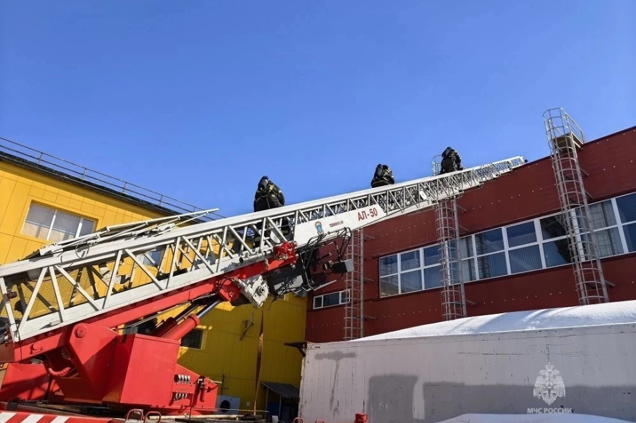 Пожарные тушили «Глобус» в Петропавловске-Камчатском. Фото: МЧС России по Камчатскому краю. Фотография 7