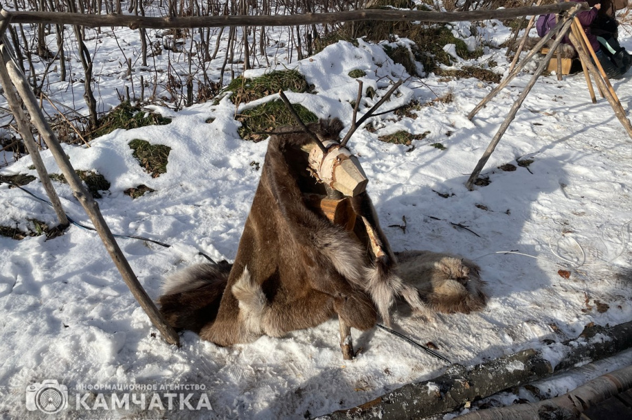Обрядовый праздник Хололо отметили в Паратунке 9 ноября. фото: Игорь Ходжер. Фотография 21