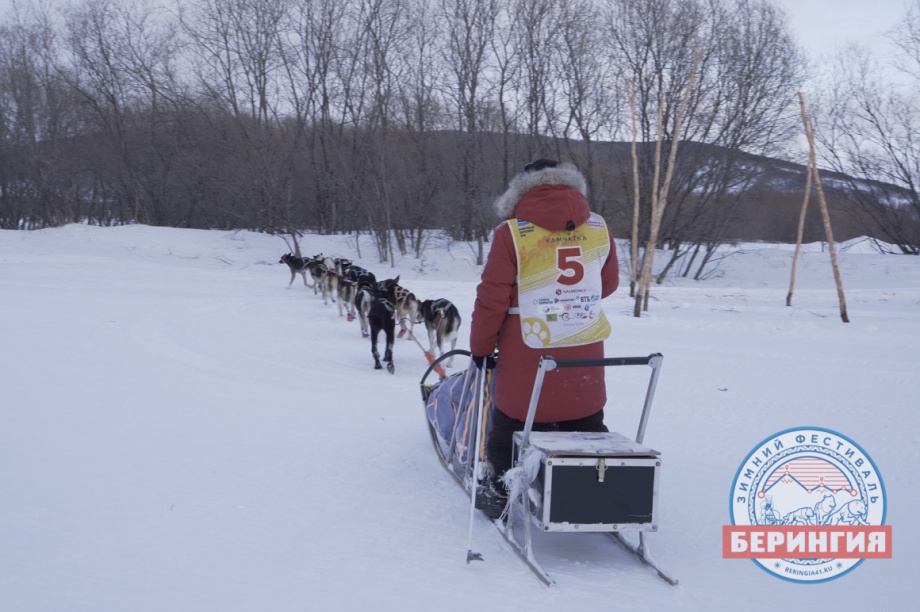 Каюр «Берингии» ночевал в тундре и снялся с гонки. Фото: Илья Мельников / информационное агентство "Камчатка". Фотография 3