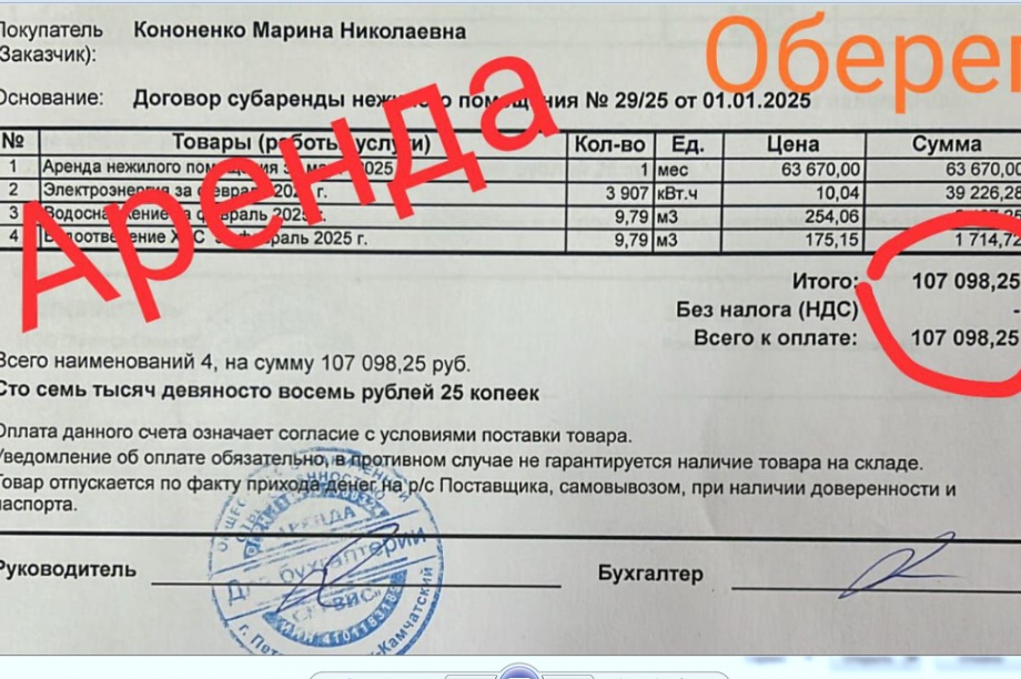 Приют для кошек «Оберег» в столице Камчатки просит поддержки земляков . Фото: приют "Оберег"