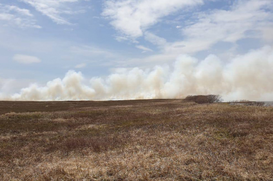 Владимир Солодов поручил принять меры для оперативного реагирования на лесные пожары, которые произошли в осенний период. Фото из соцсетей