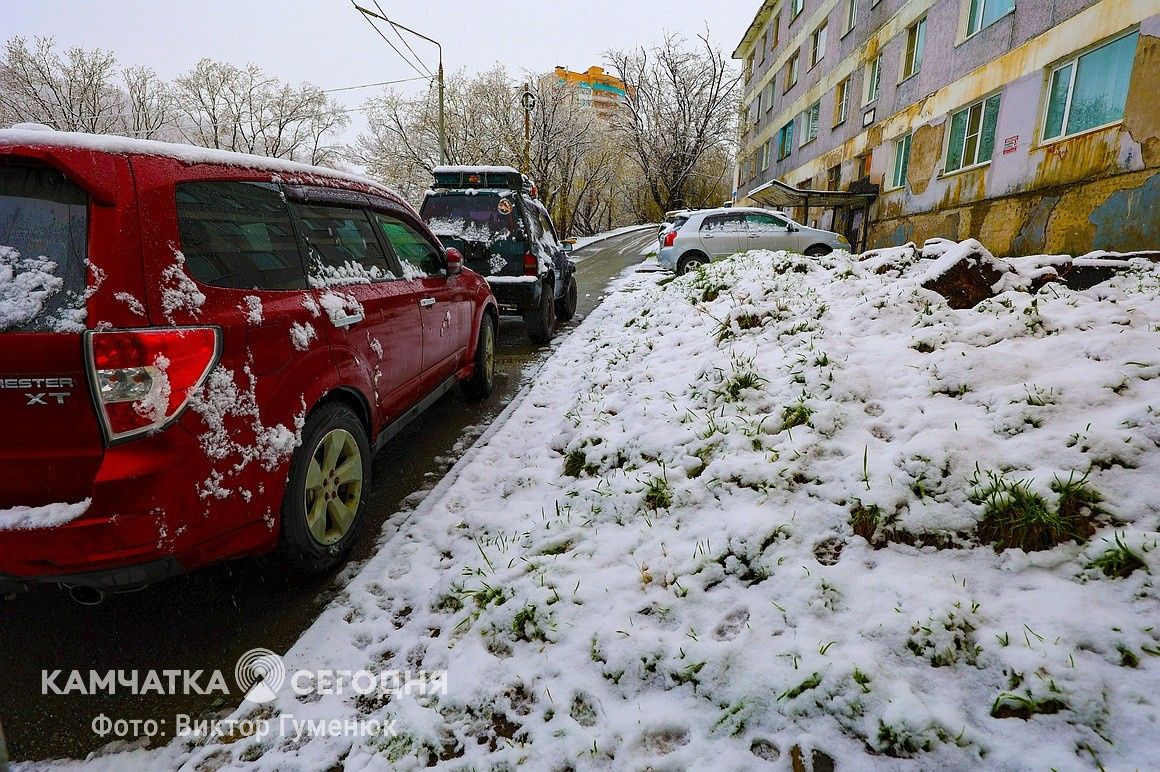 Снежный май на Камчатке. Фоторепортаж. Фото: Виктор Гуменюк. Фотография 2