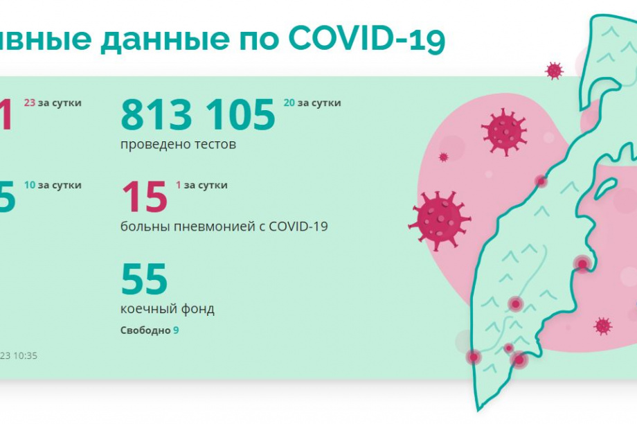 Более 20 новых случаев коронавируса выявлено на Камчатке. 