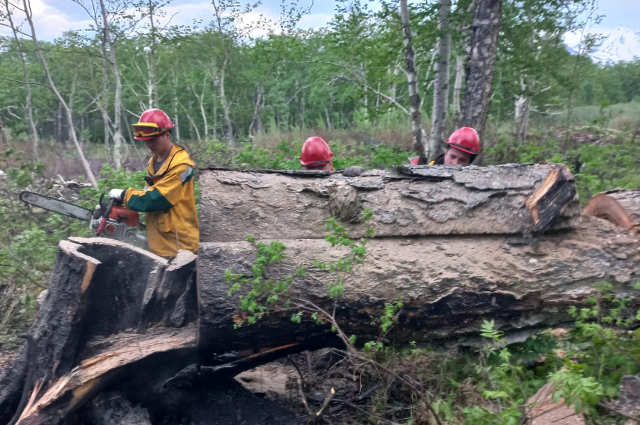 На Камчатке лесные пожары прошли за выходные почти 50 га. Фото: kamgov.ru. Фотография 4