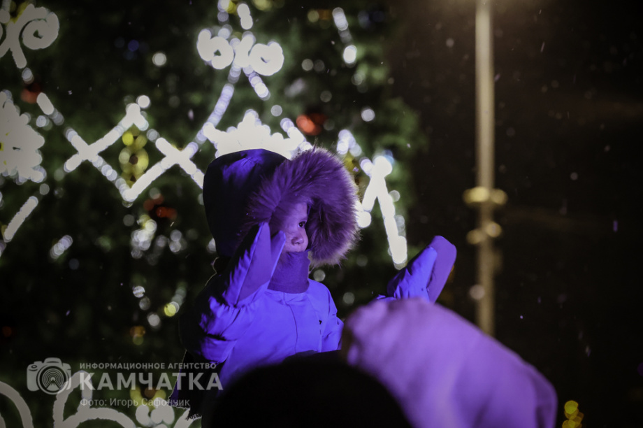 Новогодняя ночь в Петропавловске-Камчатском (фоторепортаж). . Фотография 77