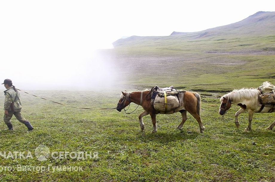 День рождения села Анавгай на Камчатке. Фотоподборка. Фото: архив/Виктор Гуменюк. Фотография 95