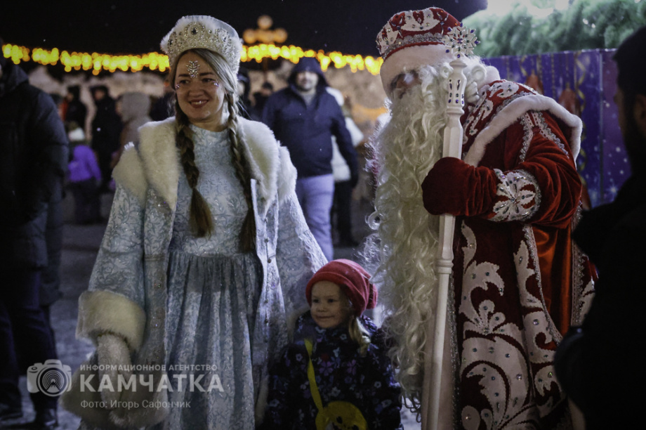 Новогодняя ночь в Петропавловске-Камчатском (фоторепортаж). . Фотография 12