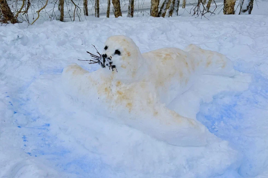 Жители Камчатки создали снежные скульптуры обитателей  местных заповедников. Фото: пресс-служба Кроноцкого заповедника. Фотография 16