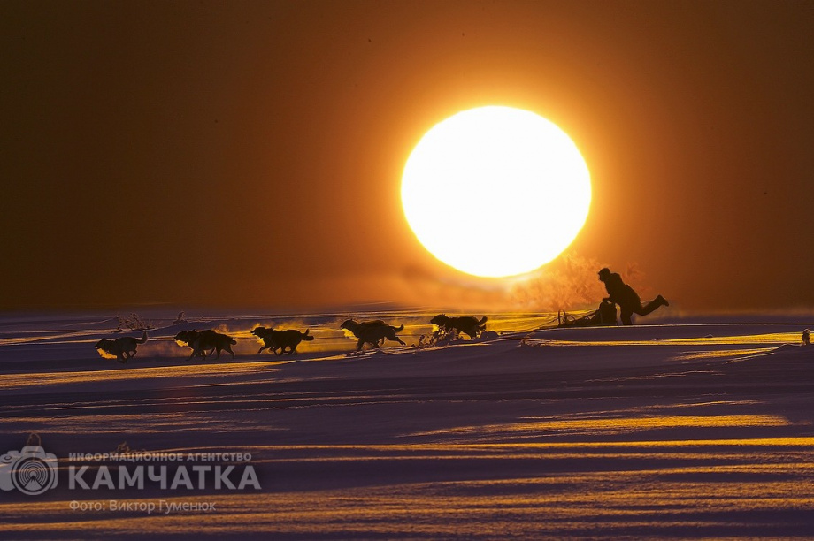 Всемирный день фотографии отмечает Камчатка. Фото: Виктор Гуменюк. Фотография 88