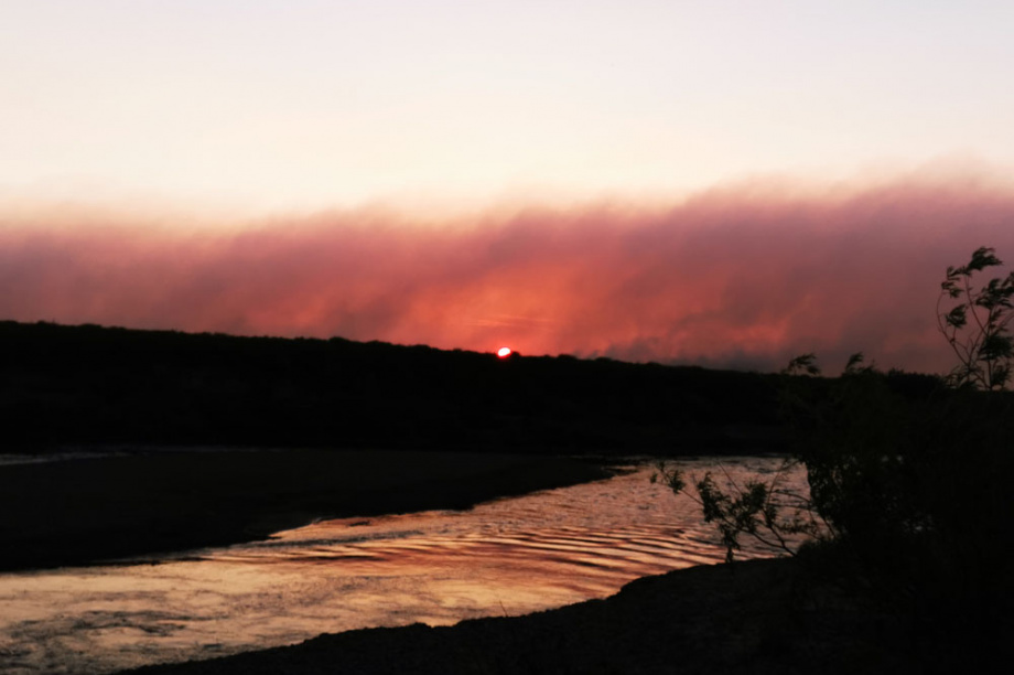 В Корякском заповеднике горели 32 тысячи гектаров леса. Фото: Максим Запорожец. Фотография 5