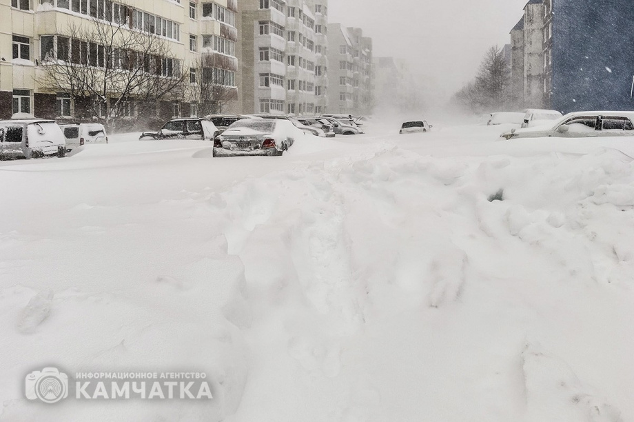 Завтра на Камчатке продолжит действовать дистанционный режим работы. Фото: ИА "Камчатка"