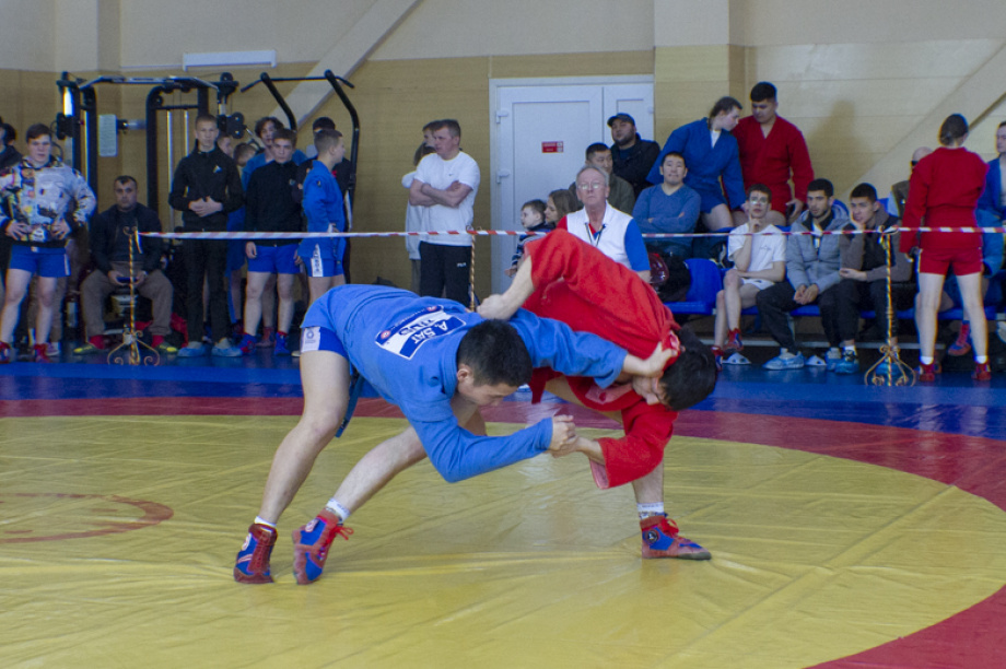 Борцы самбо на Камчатке встретились на ковре турнира ко Дню Победы. Фото: ИА «Камчатка». Фотография 4