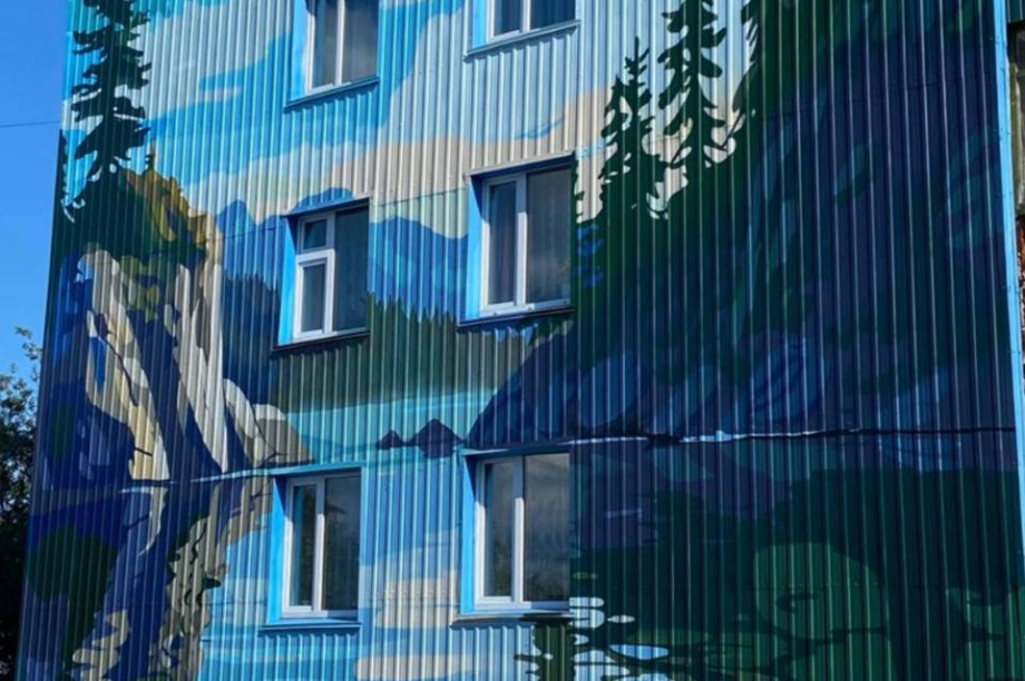 Фестиваль «Авача стрит-арт» украсил Петропавловск-Камчатский новыми муралами. . Фотография 2