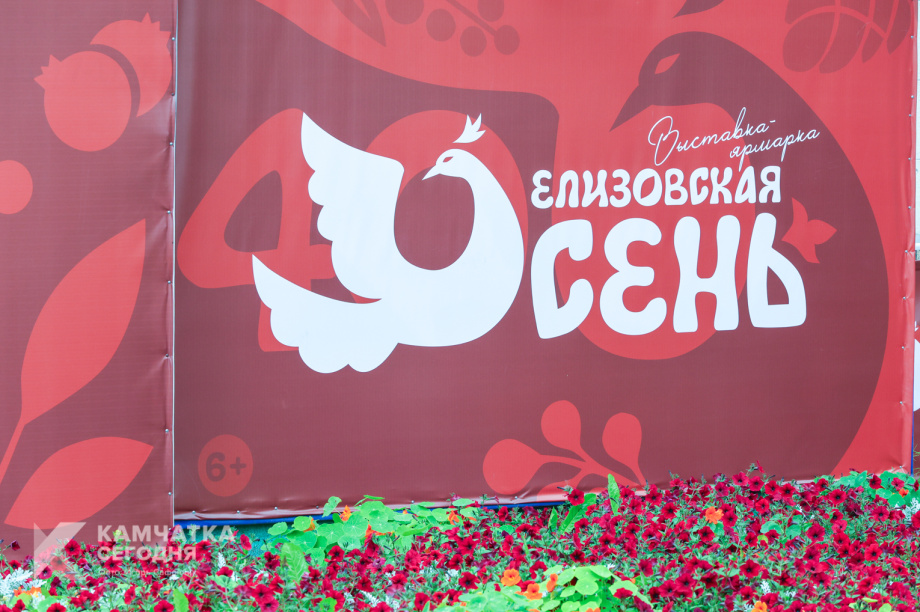 «Елизовская осень-2026» отметила 40-летие с размахом. Фото. Фото: «Камчатка Сегодня» \ Игорь Сафончик. Фотография 1