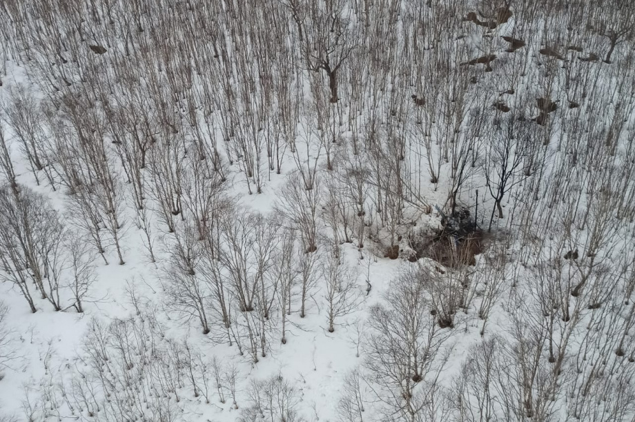 Опубликовано видео с места крушения вертолёта на Камчатке. Фото, видео: пресс-служба Дальневосточное СУ на транспорте СКР