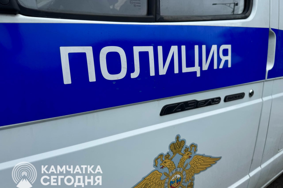 Криптовалюта не помогла: на Камчатке поймали наркокурьершу, отмывшую 3,3 млн рублей. Фото ИА «Камчатка»