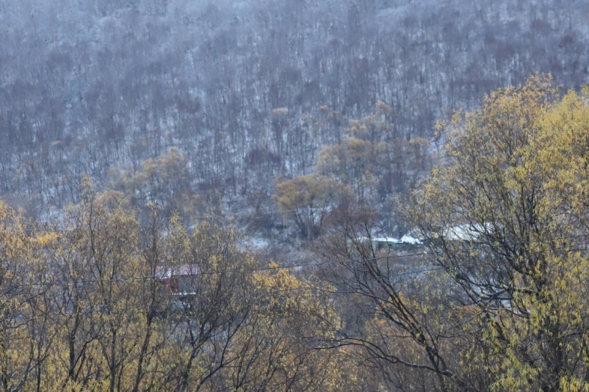 Октябрь в снегу. Фото. Фото: Виктор Гуменюк / информационное агентство "Камчатка". Фотография 37