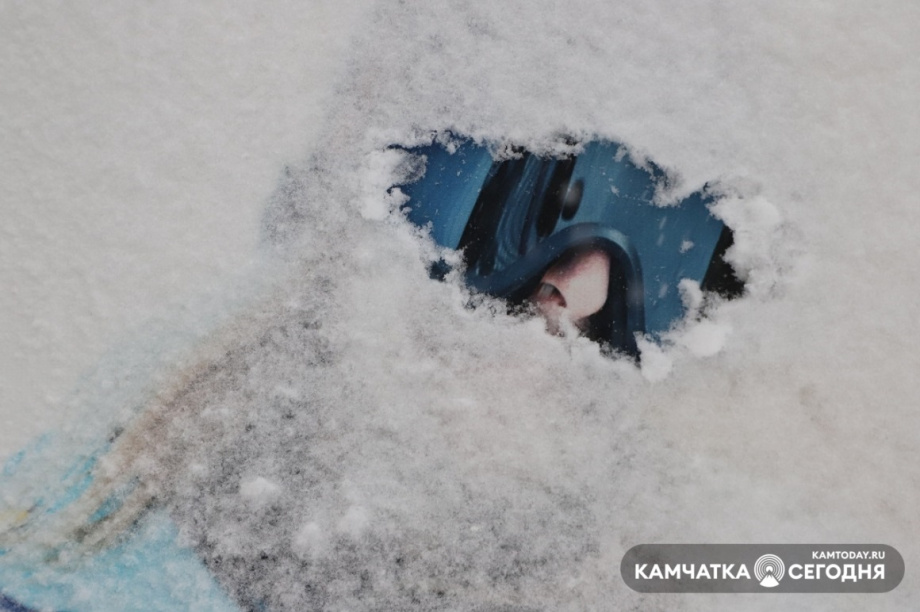 Заснеженный Петропавловск: фоторепортаж Виктора Гуменюка. Фото: Виктор Гуменюк. Фотография 17