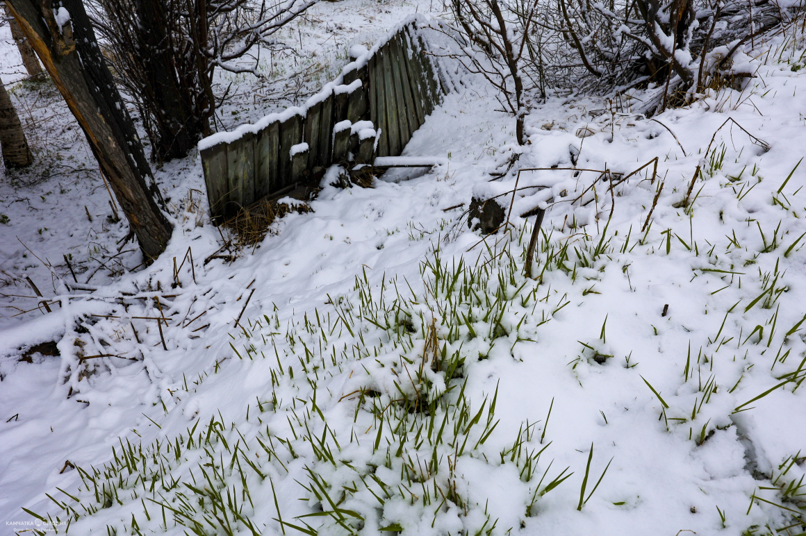 Снежный май на Камчатке. Фоторепортаж. Фото: Виктор Гуменюк. Фотография 1