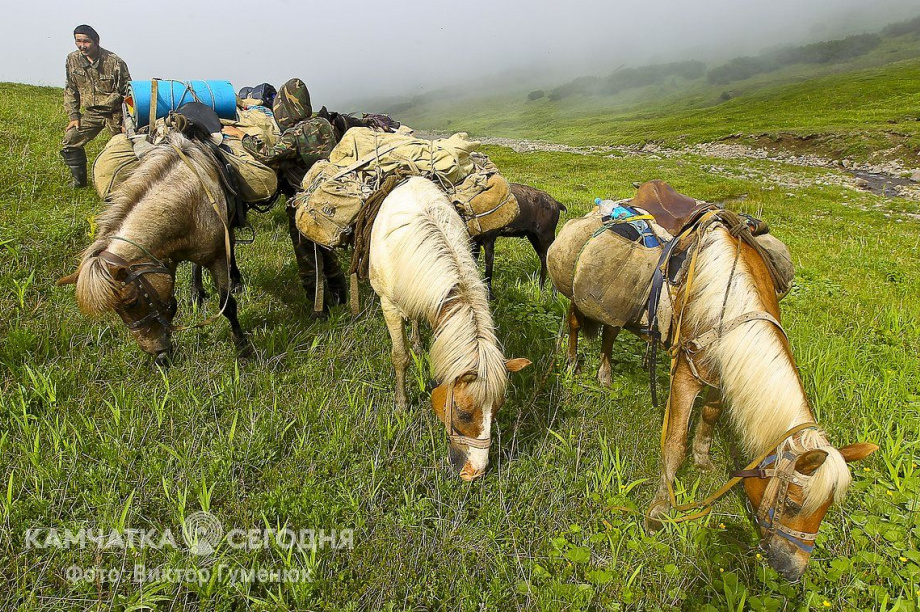 День рождения села Анавгай на Камчатке. Фотоподборка. Фото: архив/Виктор Гуменюк. Фотография 93