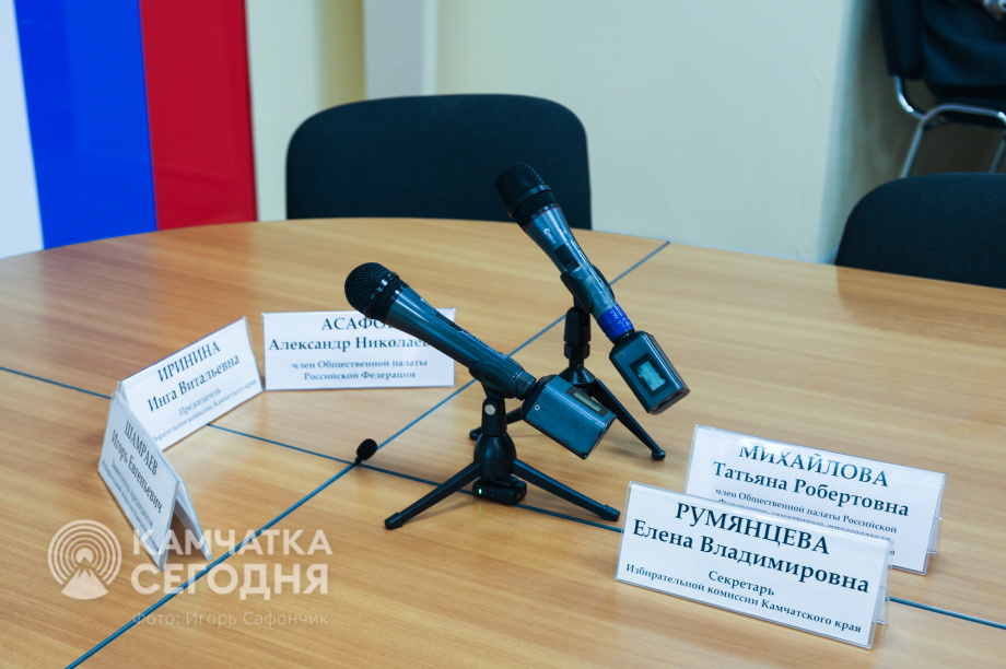 Общественные наблюдатели прошли профподготовку к выборам в Камчатском крае . . Фотография 4