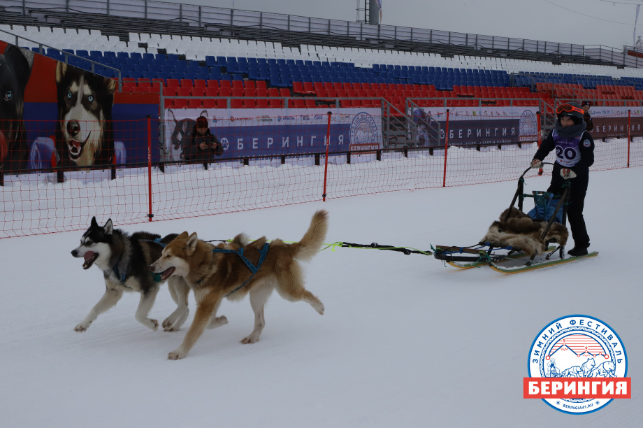 Финишировали первые участники детской гонки на собачьих пряжках «Дюлин». Фото: Виктор Гуменюк. Фотография 27