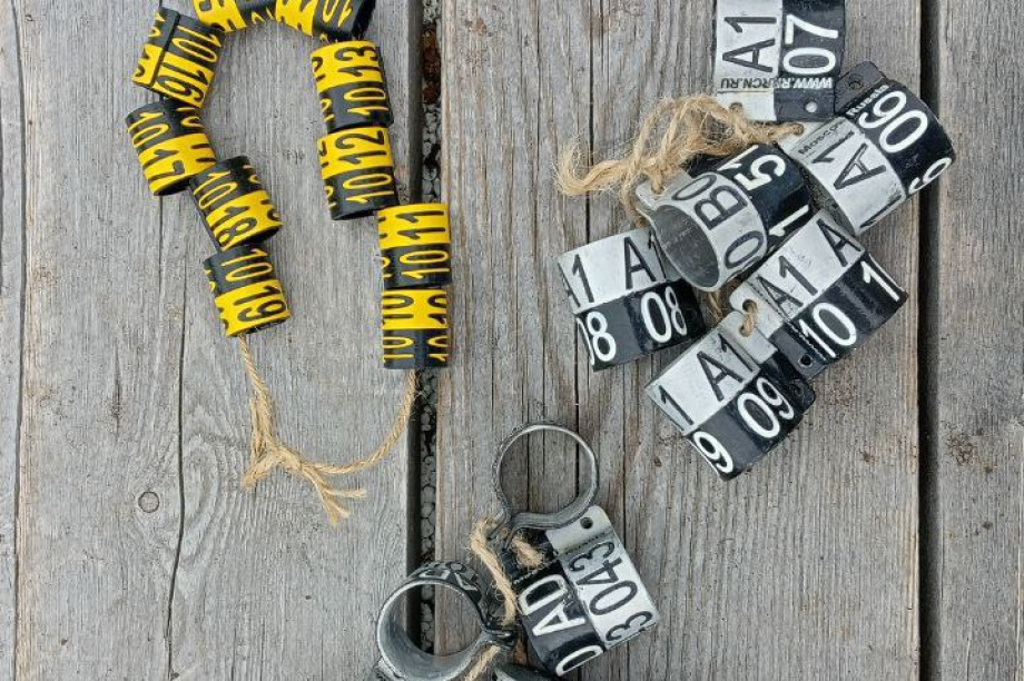 На Камчатке стартовал сезон кольцевания пернатых. Фото: М. Бабушкин, А. Шаров. Фотография 5