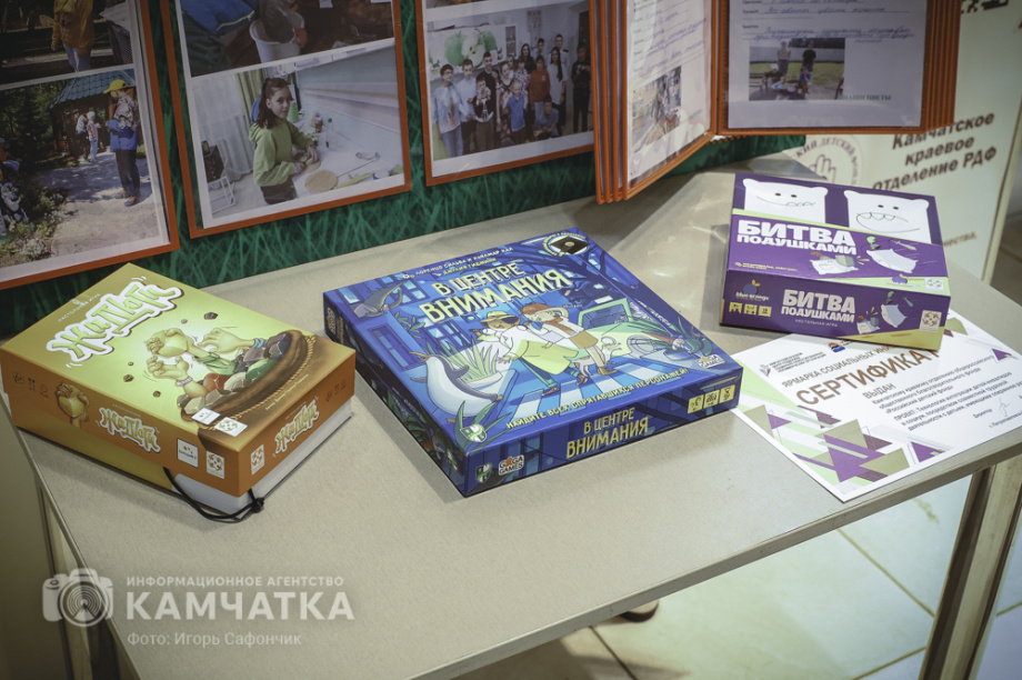 XIV-я Ярмарка социальных инициатив состоялась в Петропавловске-Камчатском (фоторепортаж). Фото: «Камчатка Сегодня» \ Игорь Сафончик. Фотография 29