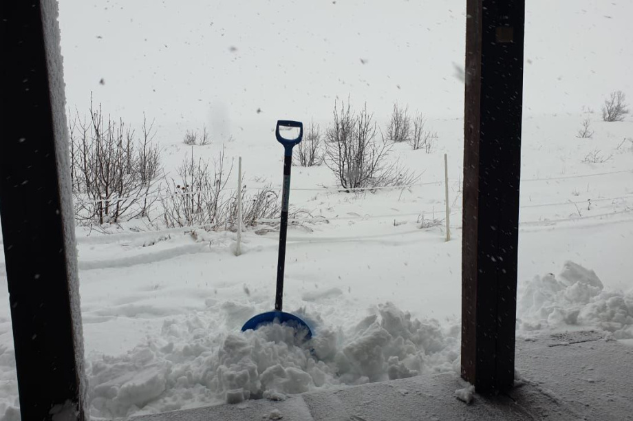 В Кроноцком заповеднике открыли сезон снежных скульптур. Фото: Полина Пименова, Лиана Варавская, Наталия Акбирова, Константин Лепский, Елена Субботина, Евгений Денгес, Екатерина Костенко.. Фотография 2