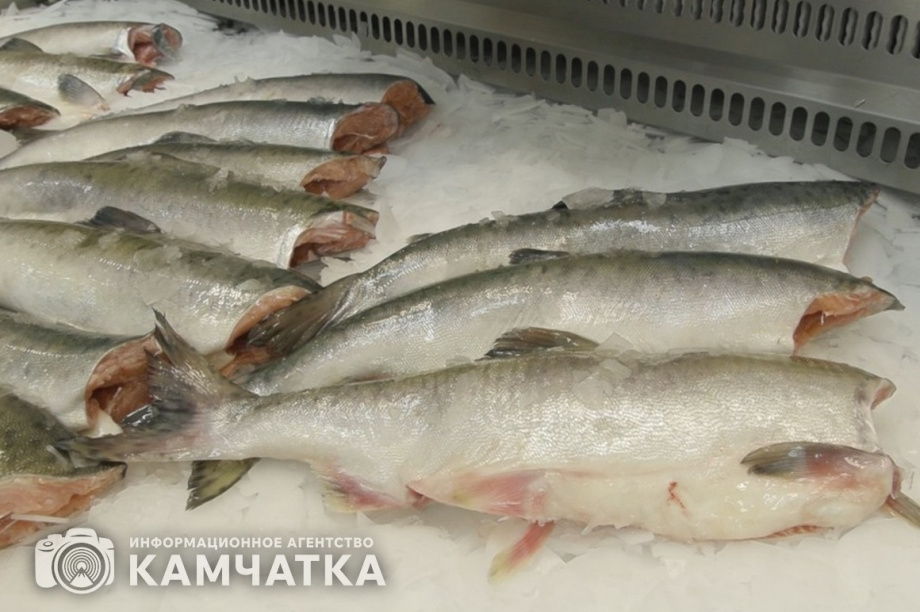 Камчатцам в этом сезоне будет доступна рыба со скидкой 30%. фото: ИА "Камчатка"