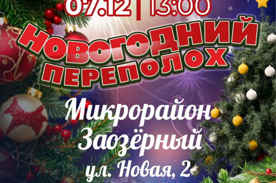   Петропавловск-Камчатский: гуляем на ёлках весь декабрь!. Фото: администрация ПКГО. Фотография 1