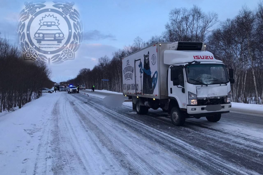 На  Камчатке  пешеход погиб под колесами грузовика. Фото: Госавтоинспекция Камчатского края
