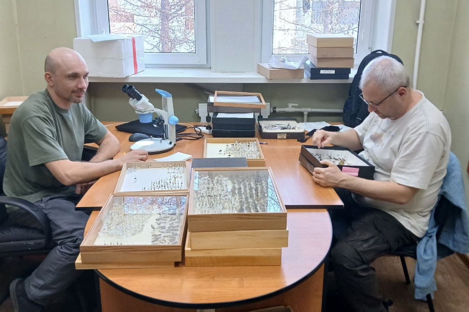 Научные исследования заповедников «Кроноцкий» и «Заповедная Мордовия»: сотрудничество на благо природы. Фото: пресс-служба «Кроноцкий государственный заповедник». Фотография 7