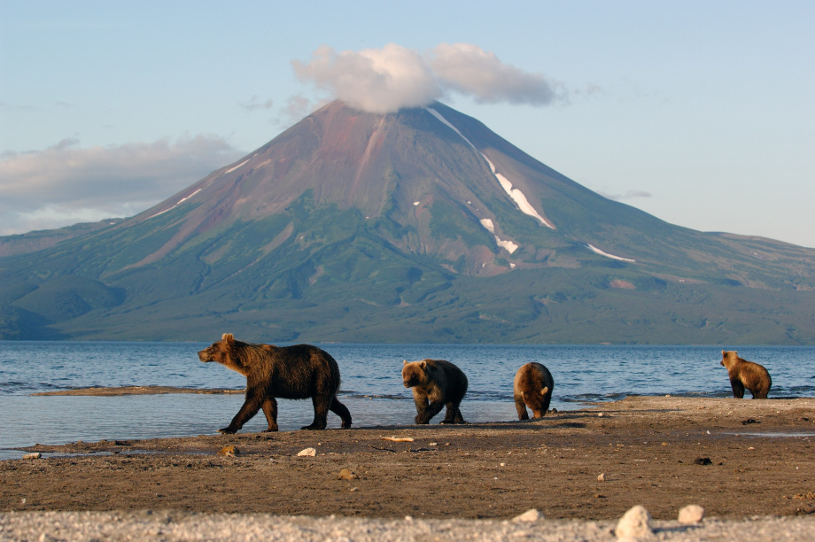 Заповедная Камчатка: 29 лет в списке ЮНЕСКО. Фото: Влада Антоньян, Сергей Краснощёков, Игорь Шпиленок, Евгения Волкова.. Фотография 1