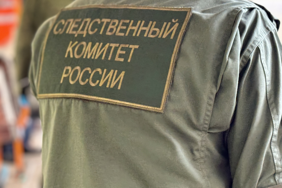 Камчатский врач получала взятки за снятие с наркологического учета. ИА «Камчатка»