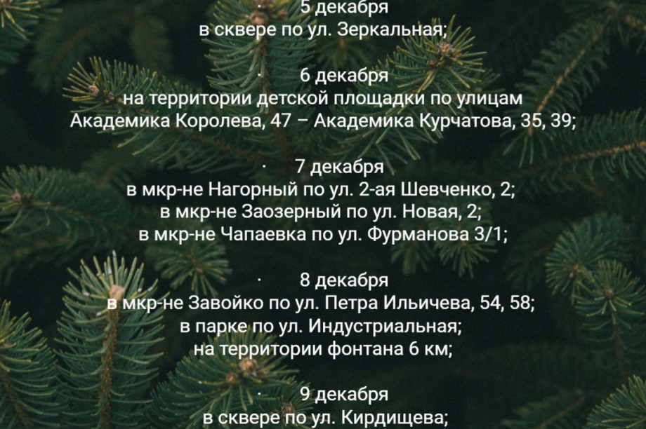 На Камчатке стартовал Марафон Новогодних Ёлок. Дед Мороз едва не опоздал на праздник. . Фотография 7
