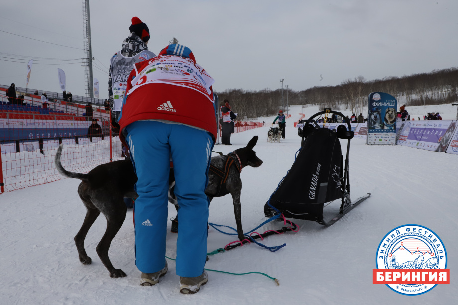 «Дюлин-2021». Фото: Виктор Гуменюк. Фотография 123