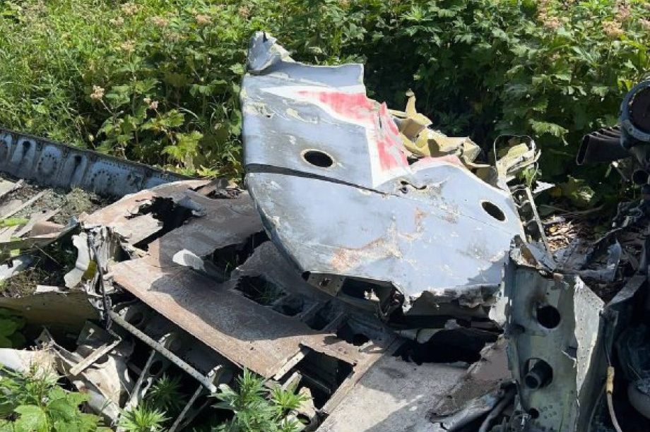 Студентка КамГУ побывала в экспедиции на Шумшу. . Фотография 5