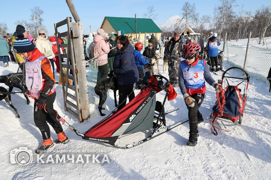 Гонка на собачьих упряжках «Хальч Тхсаном». Фоторепортаж  . Фото: Виктор Гуменюк. Фотография 49