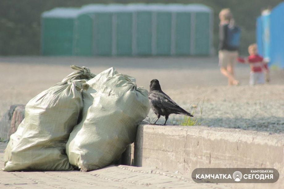 На Камчатке нарушают правила утилизации токсичных отходов. Фото: ИА "Камчатка"