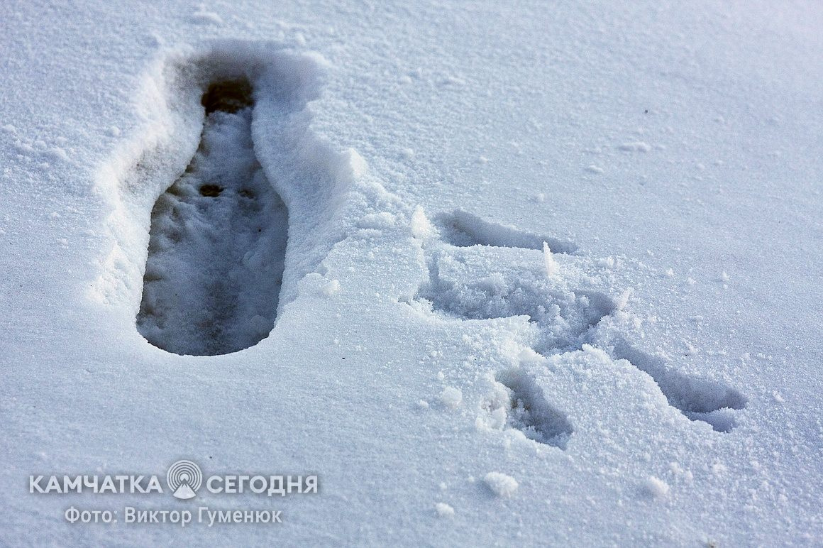 Всемирный день снега на Камчатке. фото: Виктор Гуменюк. Фотография 21