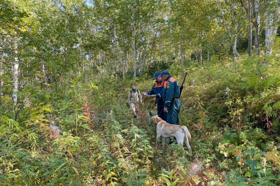 На Камчатке пятый день ищут пропавшего в лесу пенсионера. Фото: 41.mchs.gov.ru. Фотография 4