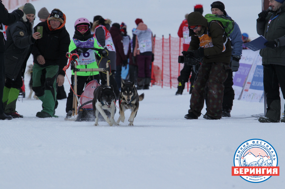На Камчатке стартовала детская гонка на собачьих упряжках «Дюлин-2021». Фото: Виктор Гуменюк. Фотография 3