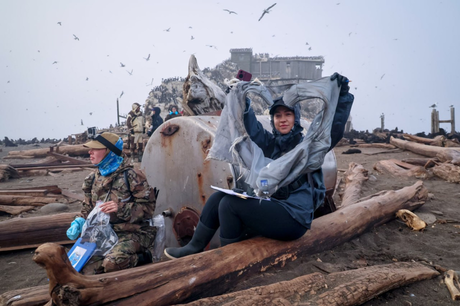 «Бронированный» Модник: история спасения морского котика. @oceanfriendsteam. Фотография 3
