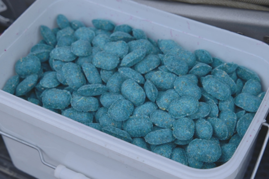 Крысам не рады: контейнерные площадки в Петропавловске-Камчатском обработали ядом. kamgov.ru. Фотография 3